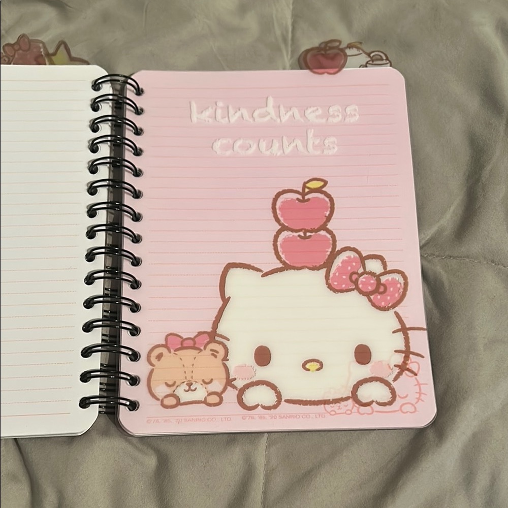 Pink Hello Kitty Spiral Notebook - Picture 7 of 9